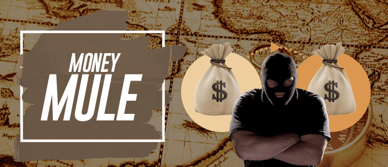 Money Mule